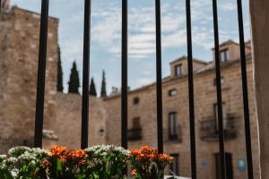 Fotografie z fotogalerie ubytování Mar de Olivos Baeza v destinaci Baeza
