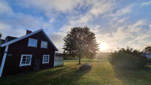 a house in a field next to a tree at Trehornahult Lillstugan in Burseryd