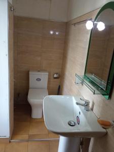 a bathroom with a white sink and a toilet at Hakgala Mount Paradise in Nuwara Eliya