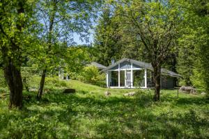 a house in the middle of a field with trees at 2 bis 4 Personen F3H2 in Ruhla
