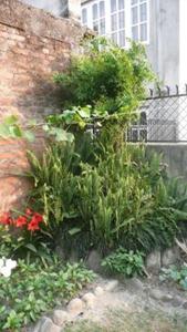 Giardino di Nagarjun Home Stay