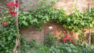 Giardino di Nagarjun Home Stay