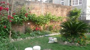 Giardino di Nagarjun Home Stay