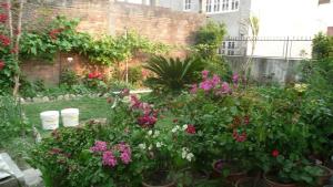 Giardino di Nagarjun Home Stay