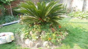 Giardino di Nagarjun Home Stay