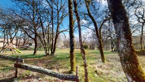 a group of trees in a field with a fence at Le Clos Des Dryades d in Vers