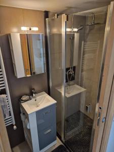 a small bathroom with a shower and a sink at Au coin tranquille in Champigny-sur-Marne