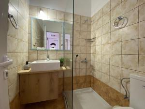 a bathroom with a shower and a sink and a toilet at Athena Kythera in Dhiakofti