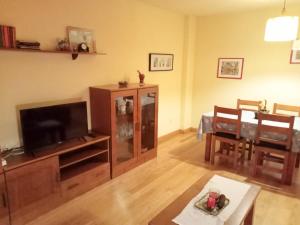 TV a/nebo společenská místnost v ubytování Apartamentos Valle de Tena - Biescas 3000