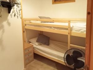 Palanda nebo palandy na pokoji v ubytování Apartamentos Valle de Tena - Biescas 3000
