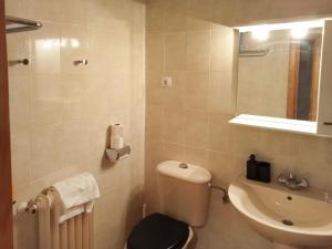 Koupelna v ubytování Apartamentos Valle de Tena - Biescas 3000