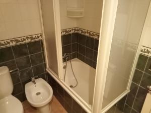 Koupelna v ubytování Apartamentos Valle de Tena - Biescas 3000