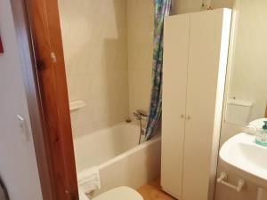 Koupelna v ubytování Apartamentos Valle de Tena - Biescas 3000