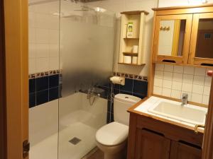 Koupelna v ubytování Apartamentos Valle de Tena - Biescas 3000