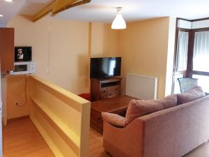 TV a/nebo společenská místnost v ubytování Apartamentos Valle de Tena - Biescas 3000