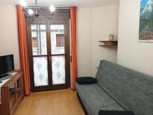 TV a/nebo společenská místnost v ubytování Apartamentos Valle de Tena - Biescas 3000