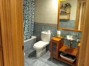 Koupelna v ubytování Apartamentos Valle de Tena - Biescas 3000