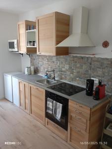 una cucina con lavello e fornello di villa Cretaccio Arco,bilocale in casa di campagna a 5 Min dal lago con deposito bici e attrezzatura ad Arco