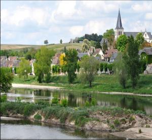 a small town with a river and a church at Butterfly Cottage in Pouilly-sur-Loire