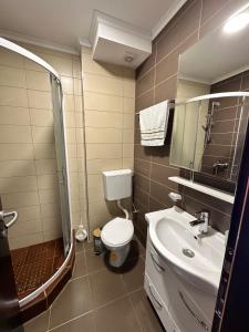 Un baño con inodoro, lavabo y ducha. en Apartment Sea Point, en Bečići 9 fotos más