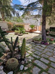 a garden with cactuses and plants on a patio at B&B - Riflessi d'Apulia in Fragagnano