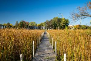 Fotografie z fotogalerie ubytování Carlow Manor on Lake Minnetonka v destinaci Mound