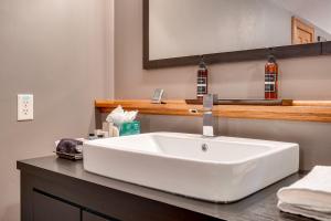 a bathroom with a white sink on a counter at Grand Residence in Saint Paul +29 photos