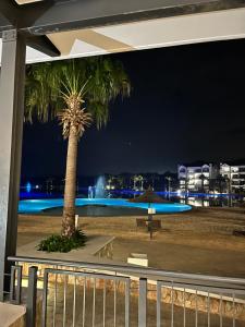 プレトリアにあるThe luxury Lifestyle Guest Houseの夜の浜辺のヤシの木