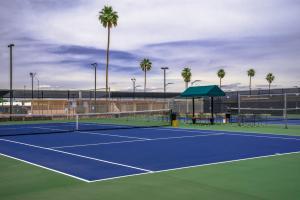 un court de tennis avec des palmiers en arrière-plan dans l'établissement Sunland Village, à Mesa