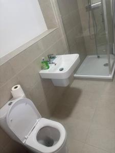 Bilik mandi di Cozy One-Bedroom