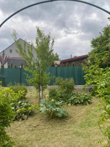 Vonkajšia záhrada v ubytovaní Podkroví s koupelnou