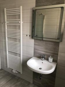 a bathroom with a sink and a mirror at Hostel Apartment in Castrop-Rauxel