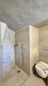 a bathroom with a shower with a toilet in it at Efi's Apartments in Plaka Milou +68 photos