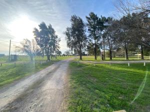 a dirt road in a field with trees at Las Agujas in Aldea Camarero