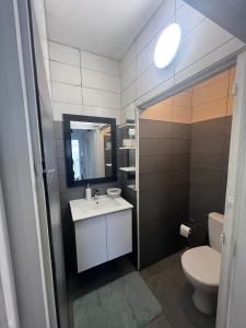 a bathroom with a toilet and a sink and a mirror at Charmante maison à Lagord avec jardin privatif in Lagord