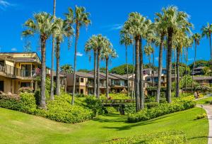a row of palm trees in front of condos at Wailea Elua 2305 by Coldwell Banker Island Vacations in Wailea