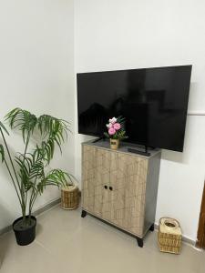a flat screen tv on a stand with two plants at Fully furnished studio in Abu Dhabi