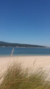 a beach with some grass and some water and some sand at Ha Mar ao Luar in Setúbal