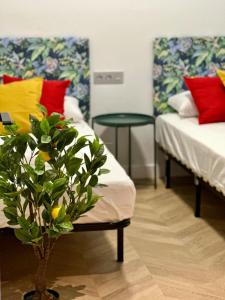 Una habitación con dos camas con almohadas de colores y una planta. en Modern Luxury Apartment, en Logroño 14 fotos más