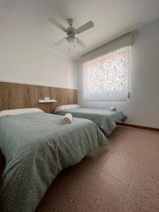 a bedroom with two beds and a ceiling fan at Apartamento CA VALEN 3 in Peñíscola