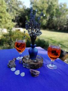 a table with two wine glasses and a vase with flowers at Vila 'Anna' in Krapets