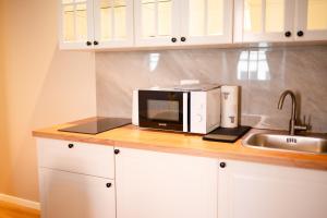 Η κουζίνα ή μικρή κουζίνα στο Kaptol 1 +4 φωτογραφίες