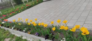 Zahrada ubytování FSQH PARASZTHÁZ Farmhouse