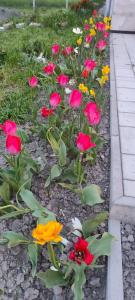 Zahrada ubytování FSQH PARASZTHÁZ Farmhouse + 2 fotografie