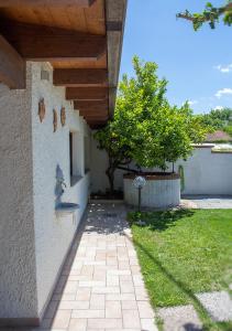 Zahrada ubytování GinKgo B&B