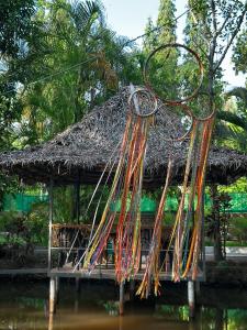 Příroda nedaleko hostelu + 4 fotografie