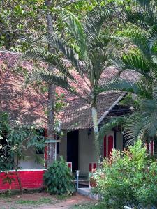 Zahrada ubytování Dorms by Greenbay