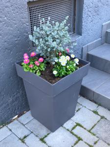 Ferienzimmer LANG外面的花园