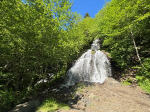 Paesaggio naturale nelle vicinanze dell'affittacamere