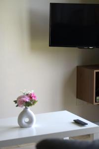 TV a/nebo společenská místnost v ubytování 't Gulpdal Hotel Voeren-Teuven
